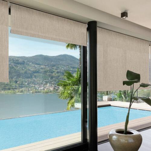 Alternative view of Slim Basic 50